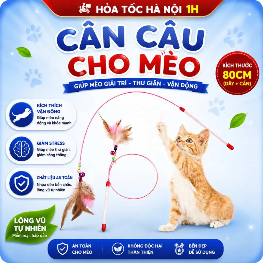 Cần câu mèo đồ chơi cho mèo đồ chơi tương tác với thú cưng