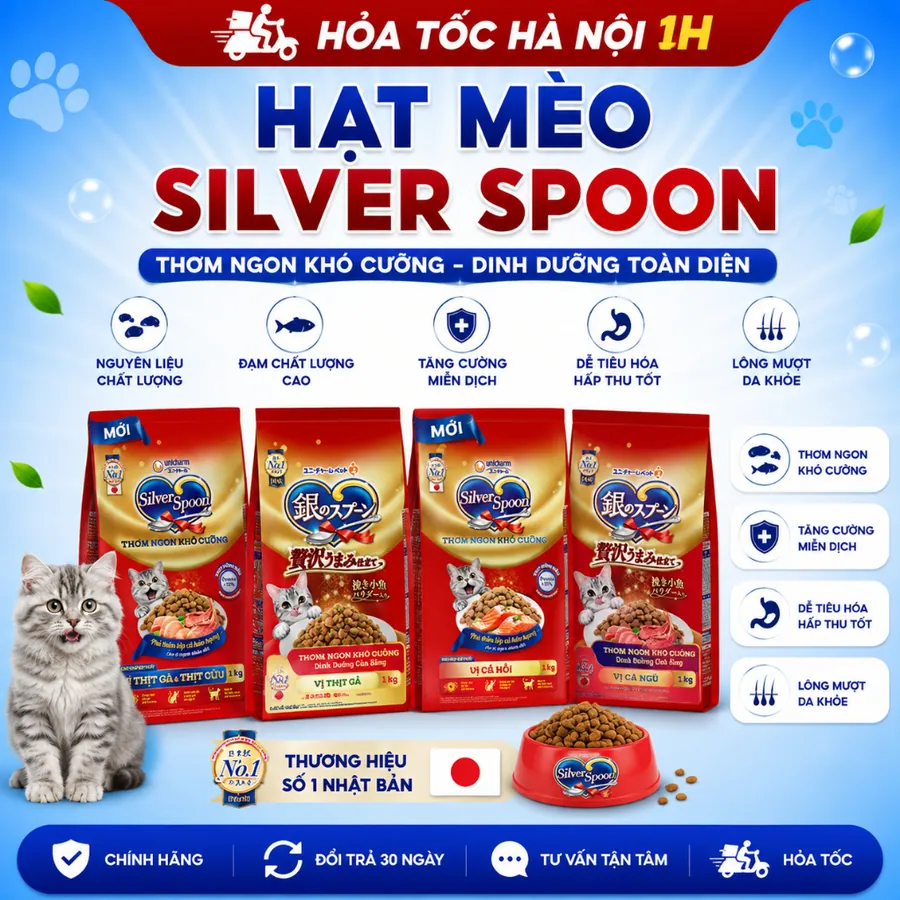 Hạt cho mèo Silver Spoon túi 1KG 30% protein, giảm nôn trớ, tăng cường tiêu hóa