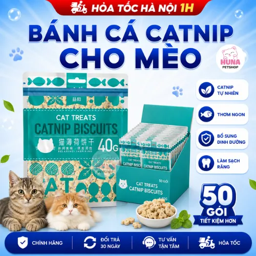COMBO 50 Gói Bánh Cá Biscuits Catnip Giảm Búi Lông Viêm Răng Hôi Miệng Cho Mèo