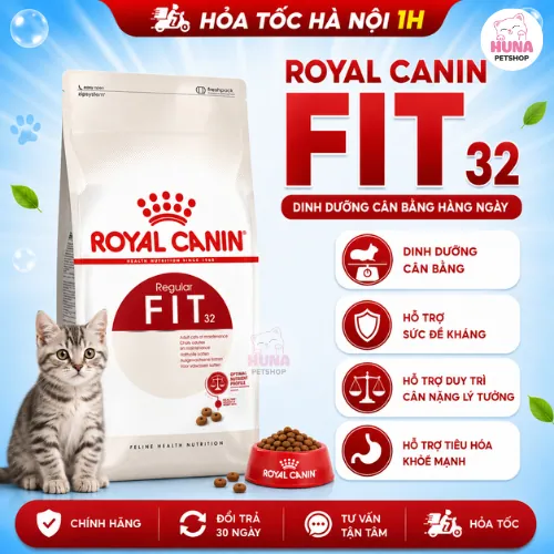 Thức Ăn Cho Mèo Trưởng Thành Vận Động Thường Xuyên - Royal Canin Fit 32