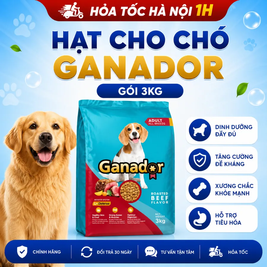 Hạt Ganador Cho Chó Trưởng Thành 3kg – Vị Bò Nướng & Gà Nướng