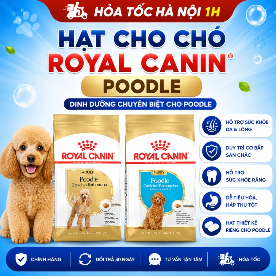 Thức Ăn Hạt Chó Royal Canin Poodle - Dry Dog Food