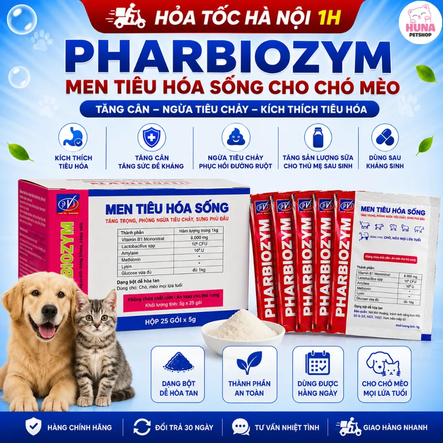 Liệu trình 5 gói Men Tiêu Hóa Sống Pharbiozym Cho Chó Mèo – Gói 5g