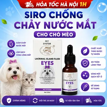 Siro Chống Chảy Nước Mắt Lacrimal Gland Fluid Eye 20ml Cho Chó Mèo