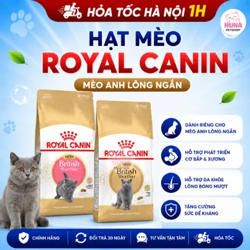 Hạt Royal Canin British Shorthair – Cho Mèo Anh Lông Ngắn ANL