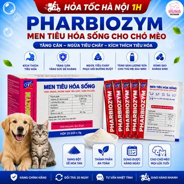 Liệu trình 5 gói Men Tiêu Hóa Sống Pharbiozym Cho Chó Mèo – Gói 5g