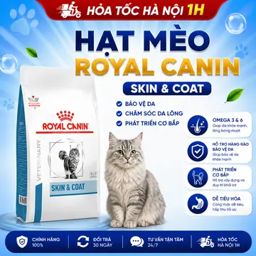 Hạt Mèo Royal Canin Skin & Coat – Dinh Dưỡng Chuyên Biệt Hỗ Trợ Da Liễu, Giảm Viêm Da & Rụng Lông