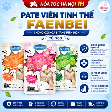 Pate Viên tinh thể chức năng cho mèo Faenbei Chống Oxi hoá & Tăng miễn dịch - 70g